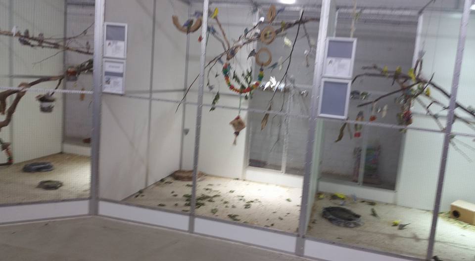 Biggest pet shop in the world